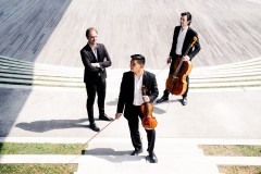 trio-zadig